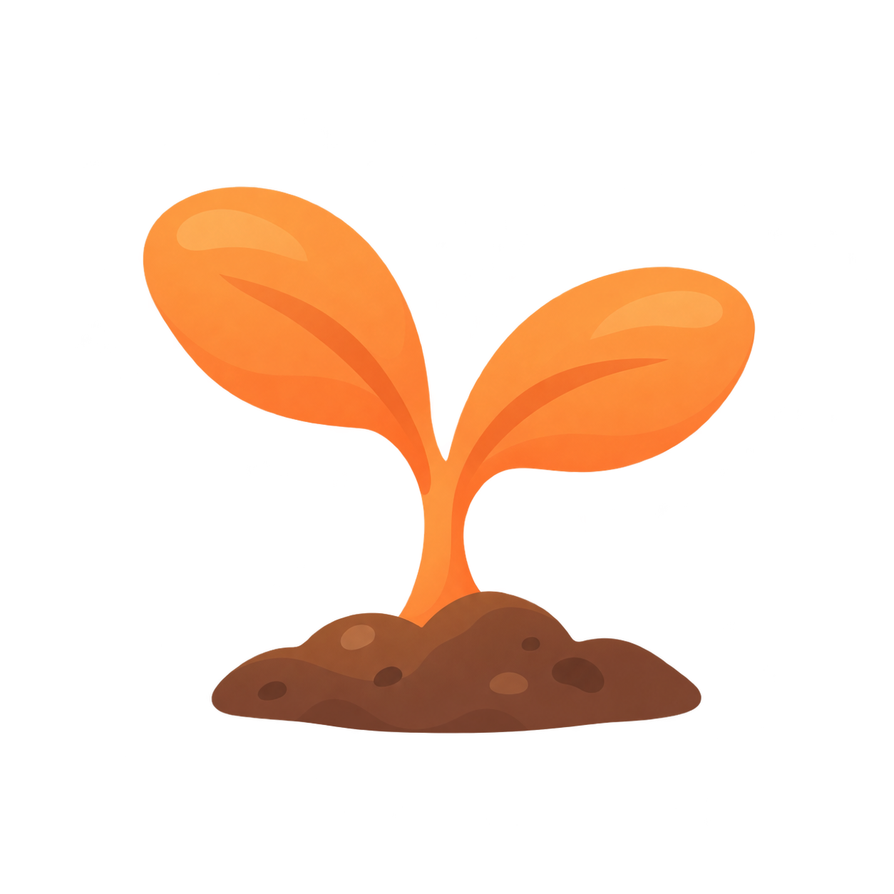A sprout emerges