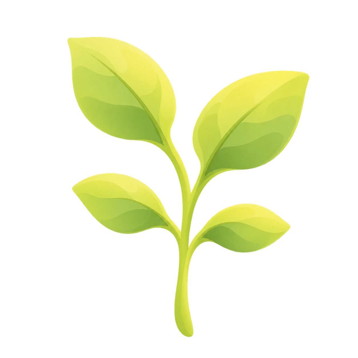 A sapling takes shape